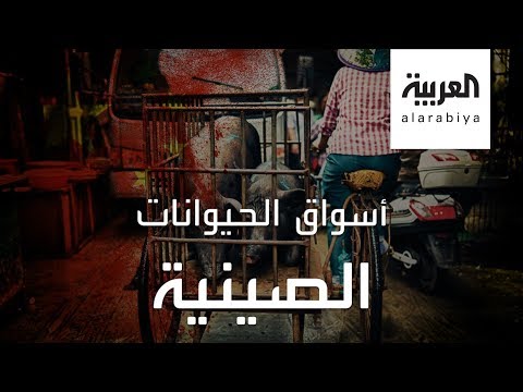 شاهدالصين تعيد فتح الأسواق التي صدرت كورونا للعالم