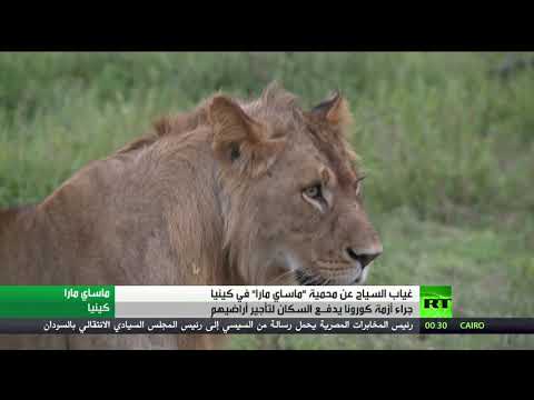 شاهد مطعم في القاهرة يستعين بـروبوت نادل بديلًا عن البشر