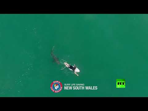 لقطات جوية تُظهر محاولة هجوم سمكة قرش على راكب أمواج