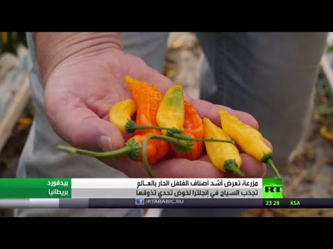 مزرعة تعرض أشد أصناف الفلفل الحار في العالم