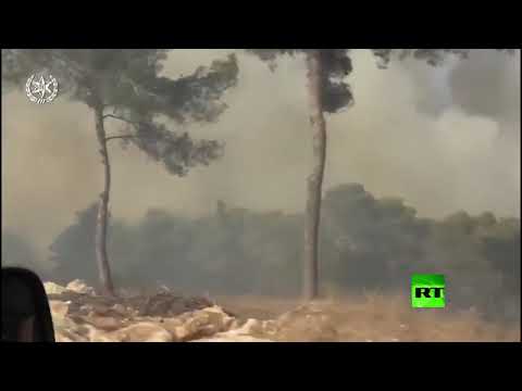 حرائق ضخمة في إسرائيل تُجبر الآلاف على النزوح