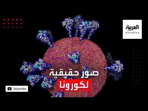 صور تكشف لغز فيروس كورونا المستجد