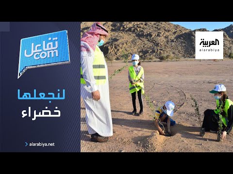 لنجعلها خضراء  حملة سعودية لزراعة ١٠ ملايين شجرة